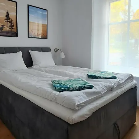 Apartment Debowa 3