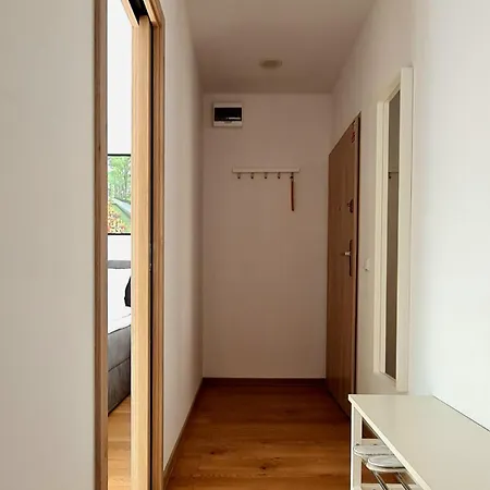 Debowa 3 Apartment