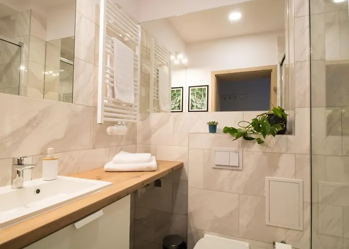 Debowa 3 * ポラニツァ・ズドゥルイ