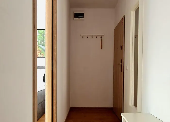 Debowa 3 アパート