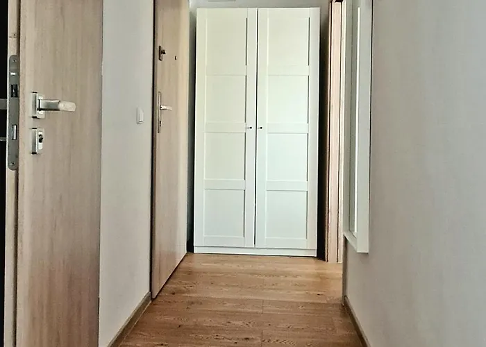 Debowa 3 * ポラニツァ・ズドゥルイ